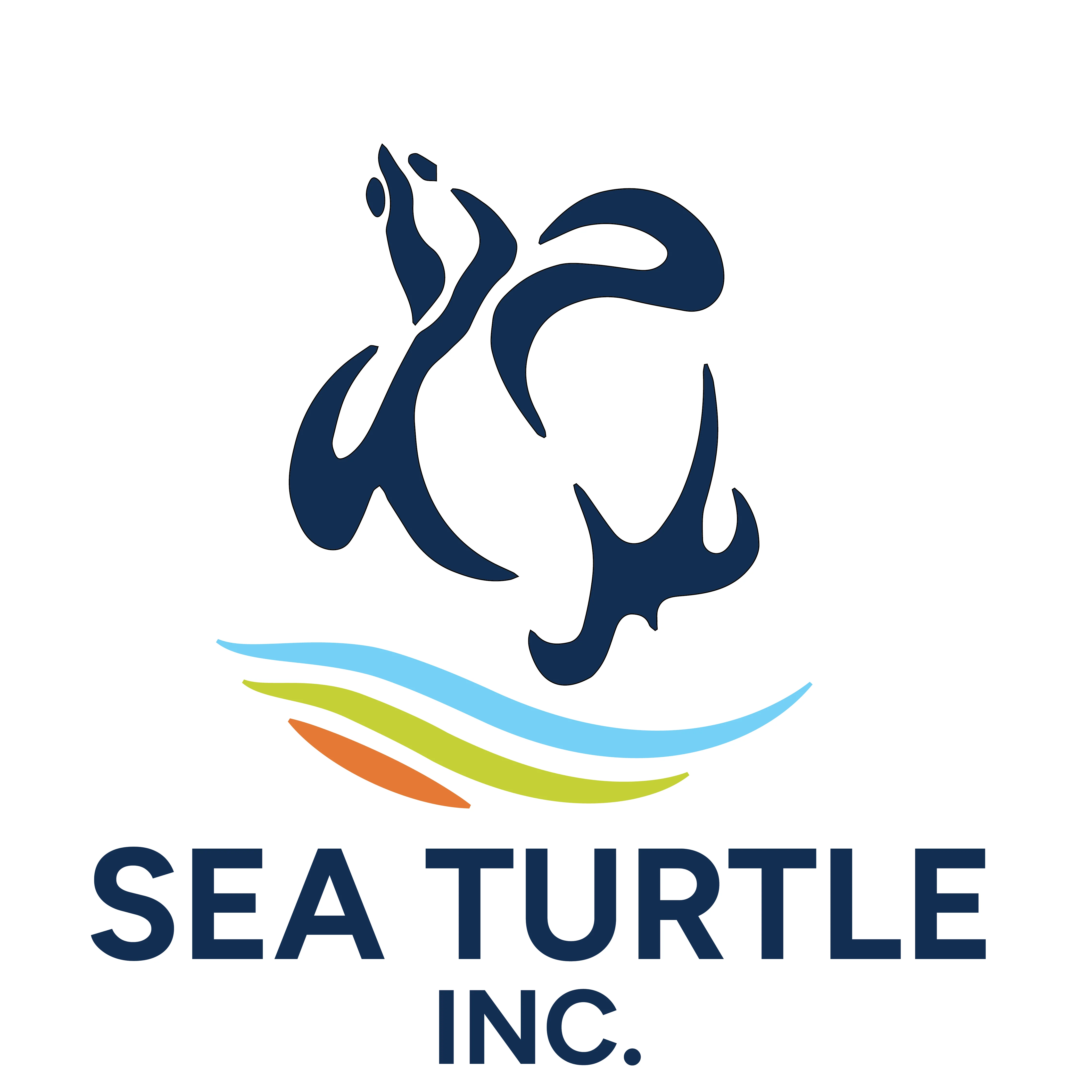 Sea Turtle Inc.